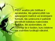 Prezentācija 'PEST analīze', 23.