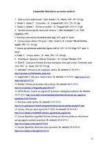 Referāts 'Teritoriālais strīds starp Latviju un Krieviju Abrenes jautājumā konstitucionālo', 31.