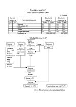 Referāts 'Ēdināšanas uzņēmuma tehnoloģiskā procesa norises dokumentu izstrāde', 30.