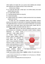 Diplomdarbs 'Zīmola stratēģijas attīstības loma aviācijas nozarē Eiropā', 13.