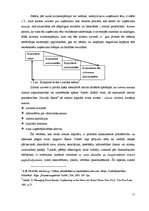 Diplomdarbs 'Zīmola stratēģijas attīstības loma aviācijas nozarē Eiropā', 17.