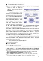 Diplomdarbs 'Zīmola stratēģijas attīstības loma aviācijas nozarē Eiropā', 19.