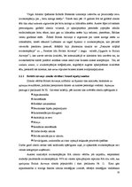 Diplomdarbs 'Zīmola stratēģijas attīstības loma aviācijas nozarē Eiropā', 32.