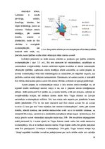 Diplomdarbs 'Zīmola stratēģijas attīstības loma aviācijas nozarē Eiropā', 36.