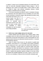 Diplomdarbs 'Zīmola stratēģijas attīstības loma aviācijas nozarē Eiropā', 38.