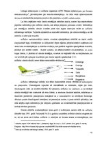 Diplomdarbs 'Zīmola stratēģijas attīstības loma aviācijas nozarē Eiropā', 43.