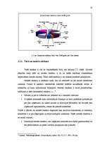 Diplomdarbs 'Ventspils Augstskolas mārketinga un reklāmas kampaņas izveide', 22.