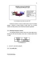 Diplomdarbs 'Ventspils Augstskolas mārketinga un reklāmas kampaņas izveide', 32.