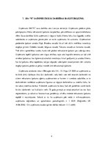 Prakses atskaite 'Prakses atskaite nekustamo īpašumu aģentūrā', 4.