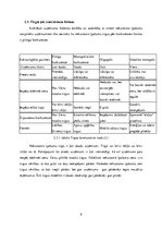 Prakses atskaite 'Prakses atskaite nekustamo īpašumu aģentūrā', 9.