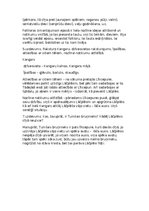 Konspekts 'Konspekts par A.Pumpura eposu „Lāčplēsis”', 2.