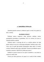 Referāts 'Sabiedrība ar ierobežotu atbildību', 10.