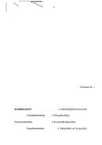 Referāts 'Sabiedrība ar ierobežotu atbildību', 17.