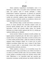 Referāts 'Personāla motivēšana uzņēmumā', 4.