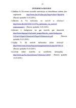 Referāts 'Personāla motivēšana uzņēmumā', 29.