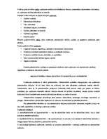 Konspekts 'Grāmatvedības pamati', 1.