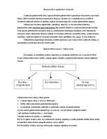 Konspekts 'Grāmatvedības pamati', 5.