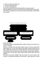 Konspekts 'Grāmatvedības pamati', 8.