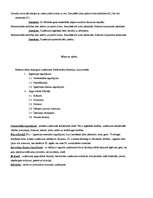 Konspekts 'Grāmatvedības pamati', 16.