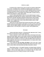 Konspekts 'Grāmatvedības pamati', 33.