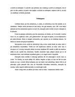 Konspekts 'Ēnu ekonomika', 5.