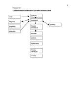 Referāts 'Ārējās vides ietekme uz skolas vidi', 9.