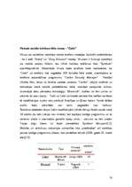 Referāts 'Datorvīrusi', 30.