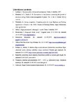 Referāts 'Sastrēgumu problēma Rīgā', 11.