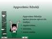 Prezentācija 'Apgrozāmie līdzekļi', 5.