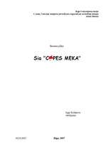 Biznesa plāns 'Biznesa plāns', 1.