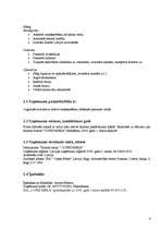 Biznesa plāns 'Biznesa plāns', 4.