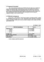 Biznesa plāns 'Biznesa plāns', 6.