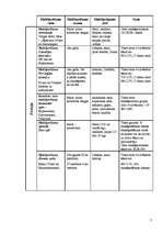 Biznesa plāns 'Biznesa plāns', 7.