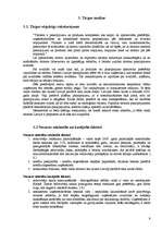 Biznesa plāns 'Biznesa plāns', 9.