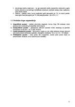 Biznesa plāns 'Biznesa plāns', 10.