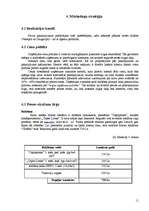 Biznesa plāns 'Biznesa plāns', 11.