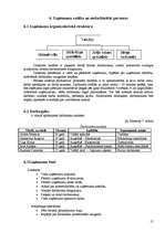 Biznesa plāns 'Biznesa plāns', 15.