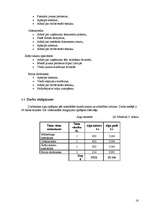 Biznesa plāns 'Biznesa plāns', 16.