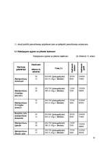 Biznesa plāns 'Biznesa plāns', 19.