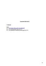 Biznesa plāns 'Biznesa plāns', 22.