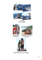 Biznesa plāns 'Biznesa plāns', 24.