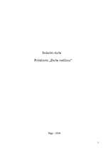 Referāts 'SIA "Ansa" darba organizācijas analīze', 1.