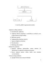 Referāts 'SIA "Ansa" darba organizācijas analīze', 8.