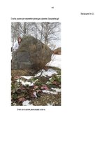 Referāts 'Trešā Atmoda manā ģimenē, dzimtajā vietā - Jaunpiebalgā', 44.