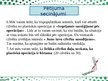 Prezentācija 'Pētnieciskais darbs „Sabiedriskais viedoklis par plastiskām operācijām”', 14.