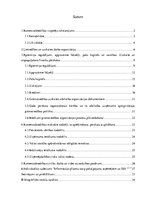 Prakses atskaite 'Prakses atsakaite finanšu grāmatvedībā', 1.