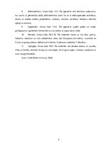 Prakses atskaite 'Prakses atsakaite finanšu grāmatvedībā', 9.