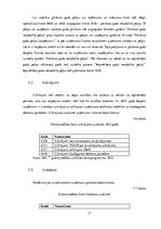 Prakses atskaite 'Prakses atsakaite finanšu grāmatvedībā', 17.