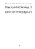 Prakses atskaite 'Prakses atsakaite finanšu grāmatvedībā', 20.