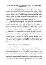 Prakses atskaite 'Prakses atsakaite finanšu grāmatvedībā', 28.